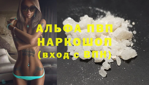 индика Киреевск