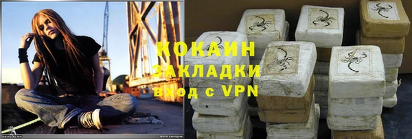 индика Киреевск