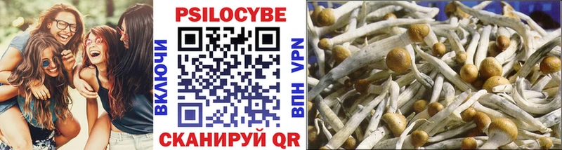 Купить  Бронницы  Псилоцибиновые грибы Cubensis 